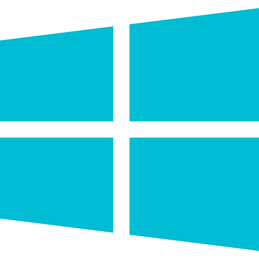 Windows Icon